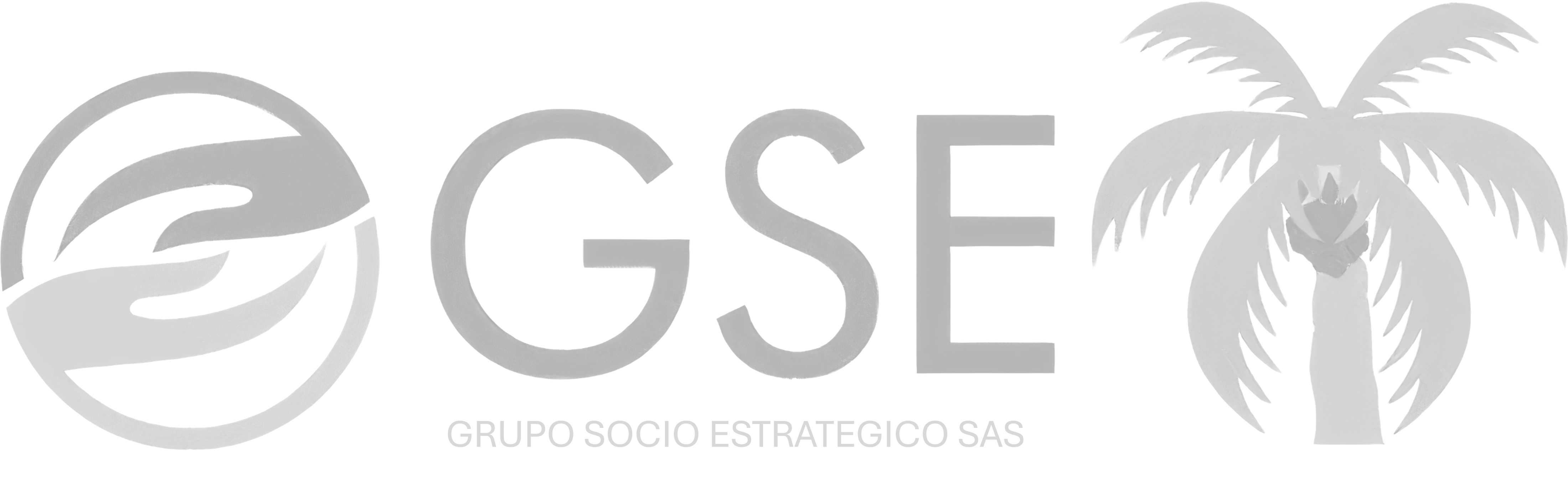 Grupo Socio Estratégico